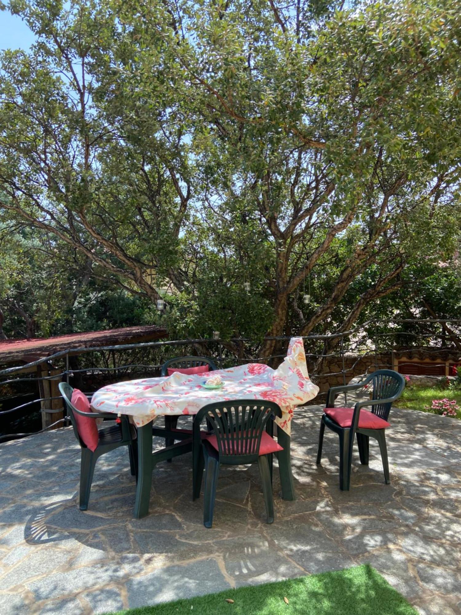 Case Vacanze Villa Rosita San Teodoro  Ngoại thất bức ảnh
